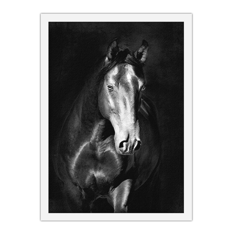 Πίνακας σε Καμβά Μαύρο άλογο kladruby