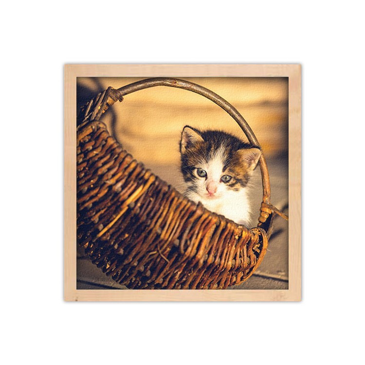 Πίνακας σε Καμβά Χαριτωμένο γατάκι μέσα στο καλάθι