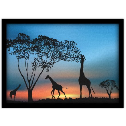 Αφρικανική άγρια φύση το ηλιοβασίλεμα