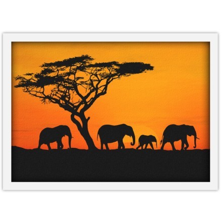 Ελέφαντες στο ηλιοβασίλεμα