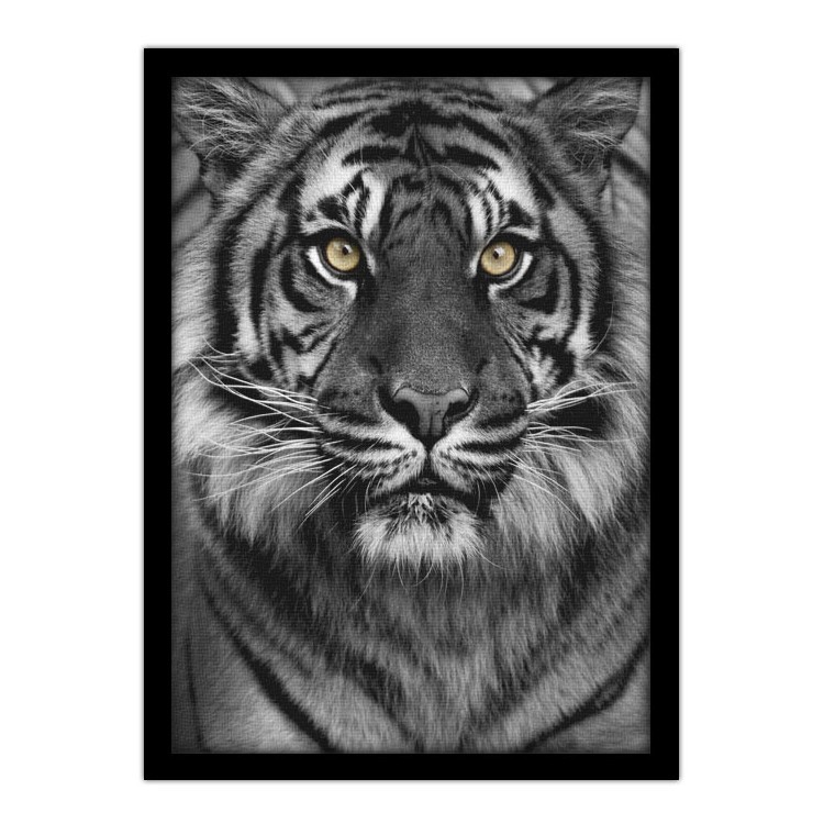 Πίνακας σε Καμβά Μάτια τίγρης