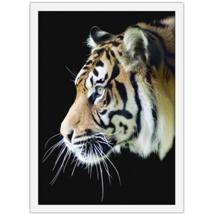 Τίγρης που κοιτάει Πίνακας σε Καμβά