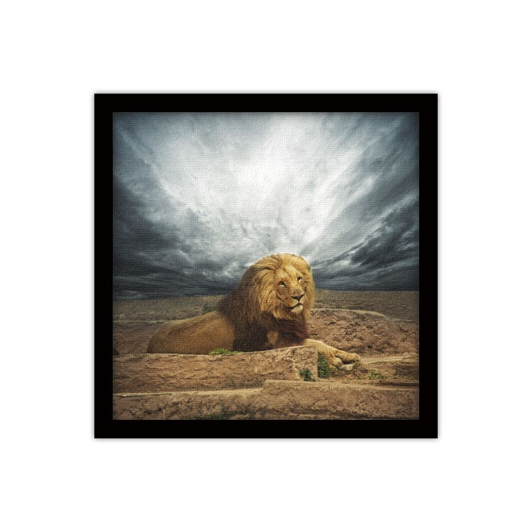 Πίνακας σε Καμβά Λιοντάρι στην έρημο