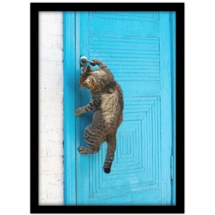 Γάτα ανοίγει την πόρτα