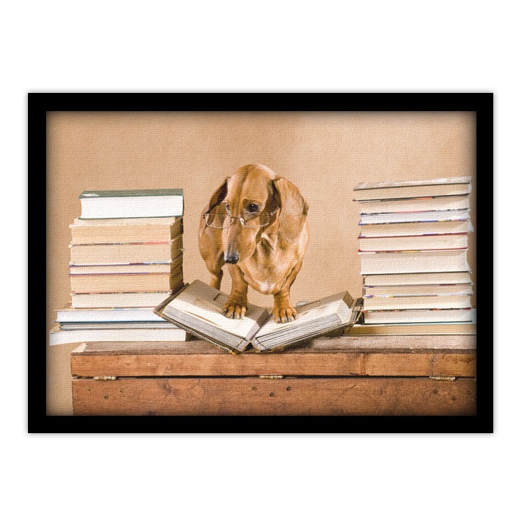 Πίνακας σε Καμβά Σκύλος πάνω σε βιβλίο