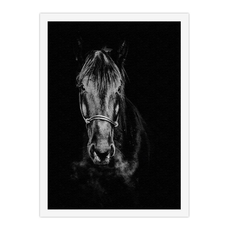 Πίνακας σε Καμβά Μαύρο άλογο στο σκοτάδι
