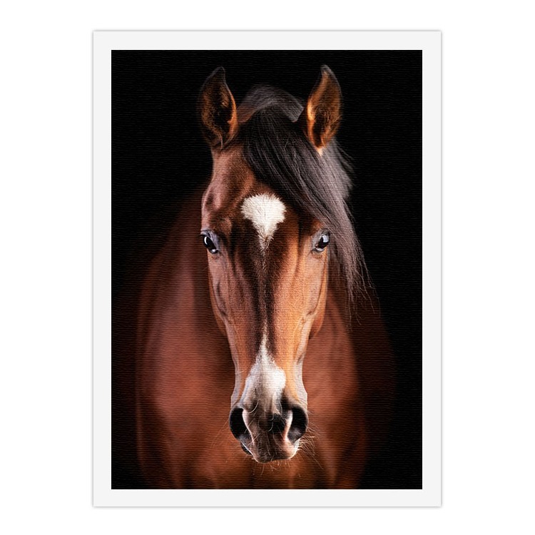Πίνακας σε Καμβά Καφέ όμορφο άλογο