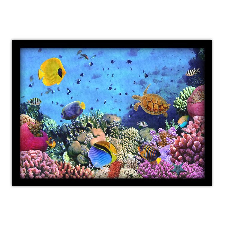 Πίνακας σε Καμβά Αποικία κοραλλιών στην Ερυθρά Θάλασσα