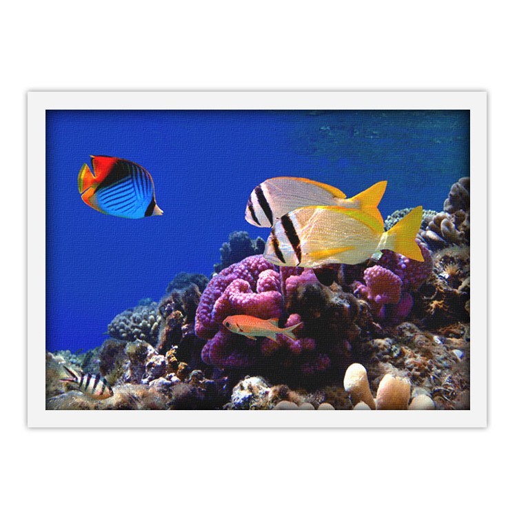 Πίνακας σε Καμβά Εικόνα των κοραλλιογενών υφάλων