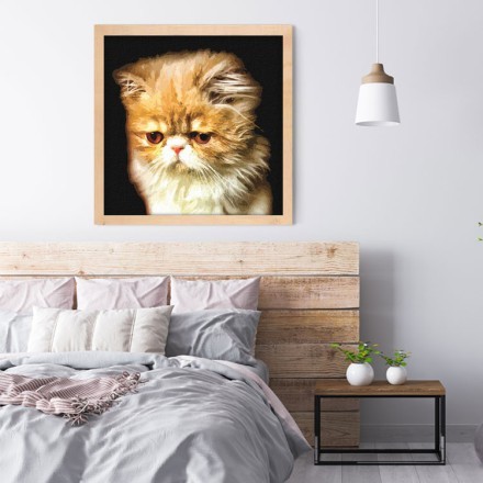 Πορτρέτο γάτας