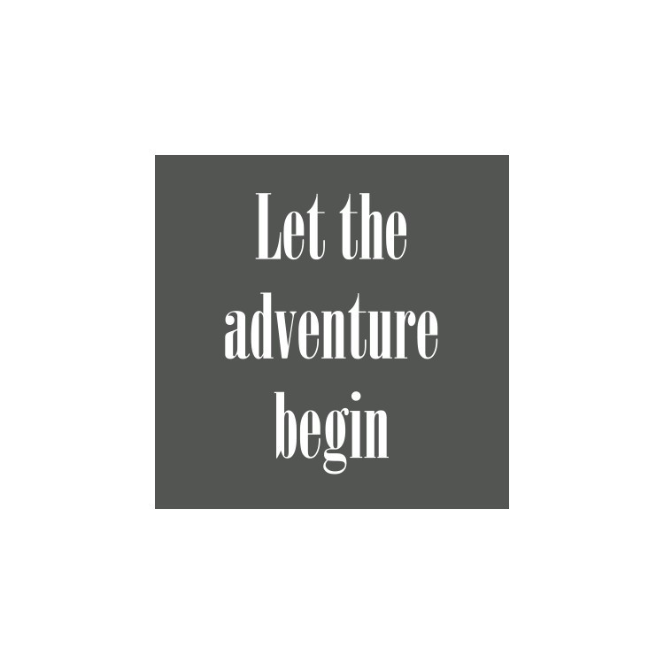  Let the adventure
