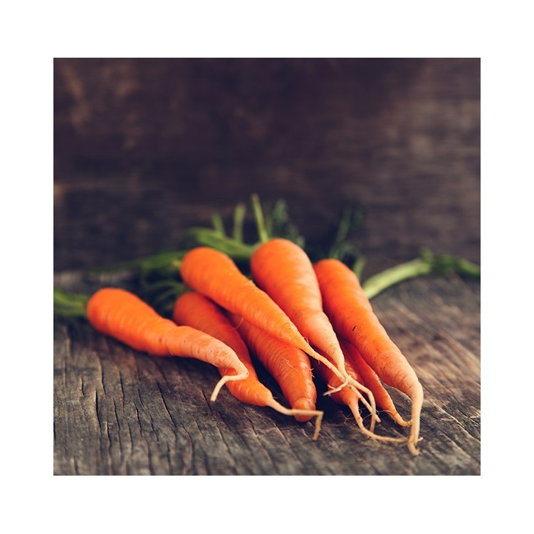  Οργανικά καρότα