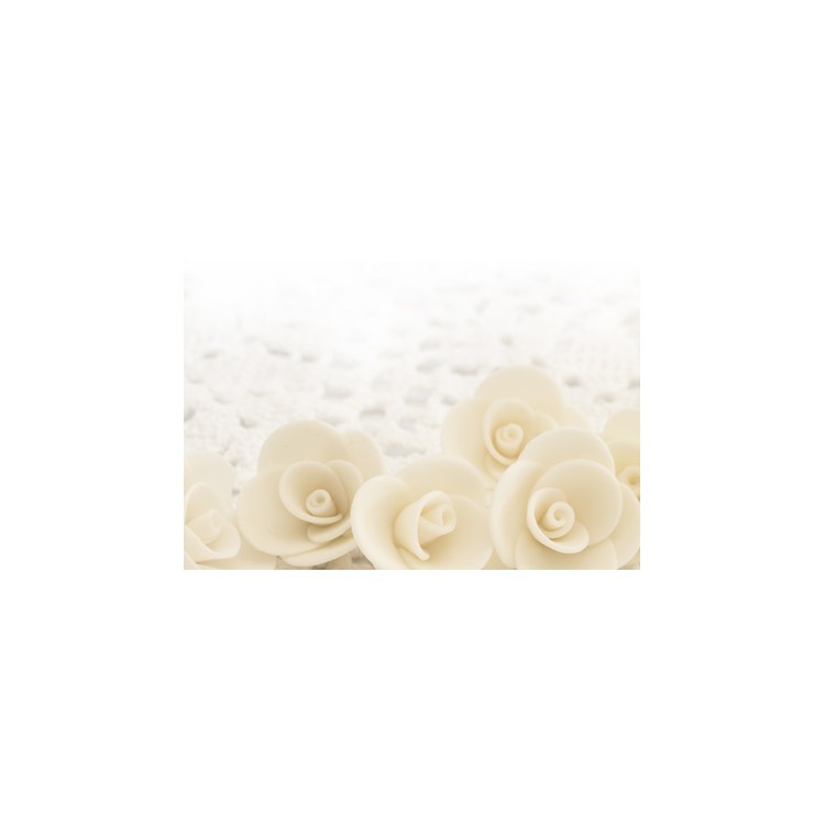  Φόντο με λευκά τριαντάφυλλα