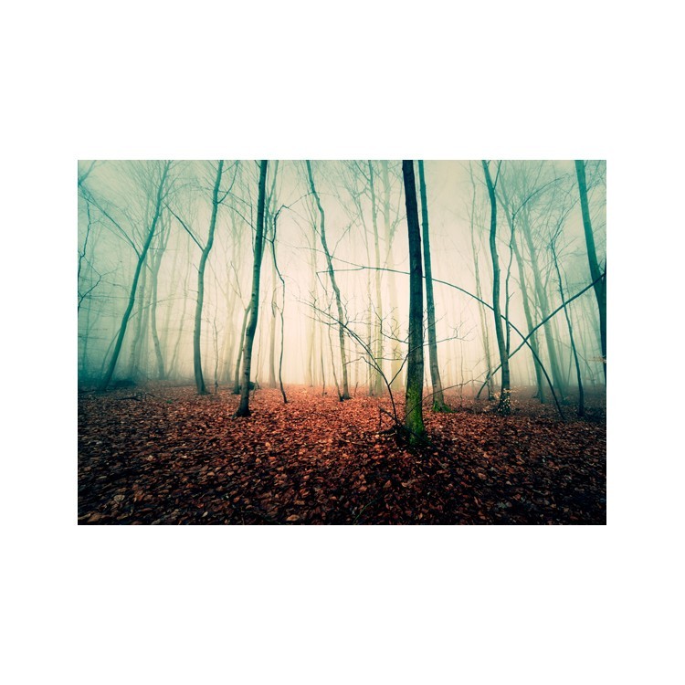 Ομιχλιασμένο δάσος