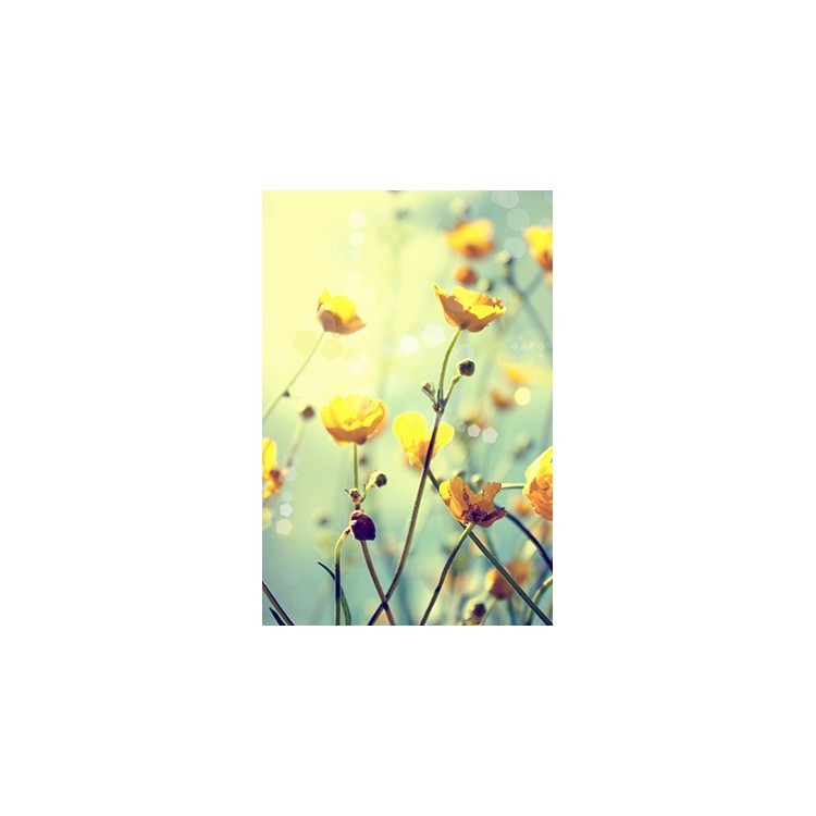  Κίτρινο λουλούδι