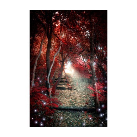 Μαγεμένο κόκκινο δάσος