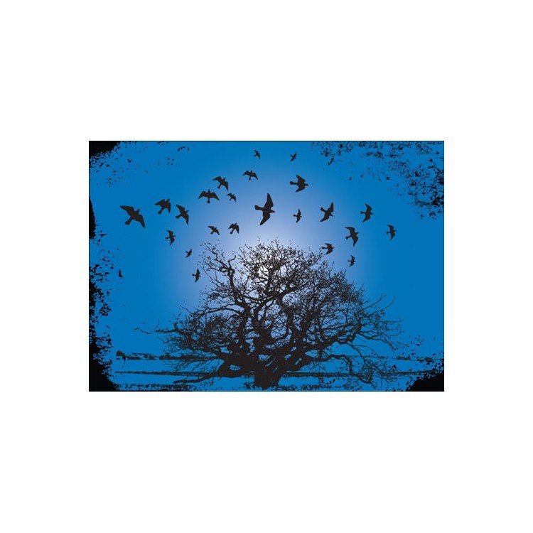  Πουλιά πετάνε πάνω από δέντρο