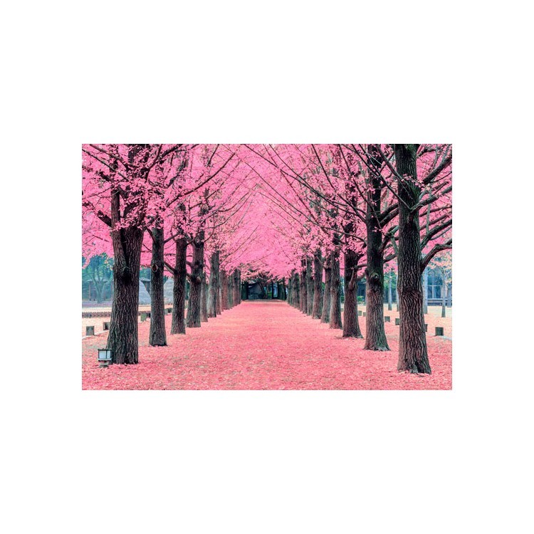  Ροζ δέντρα, Νησί  Nami