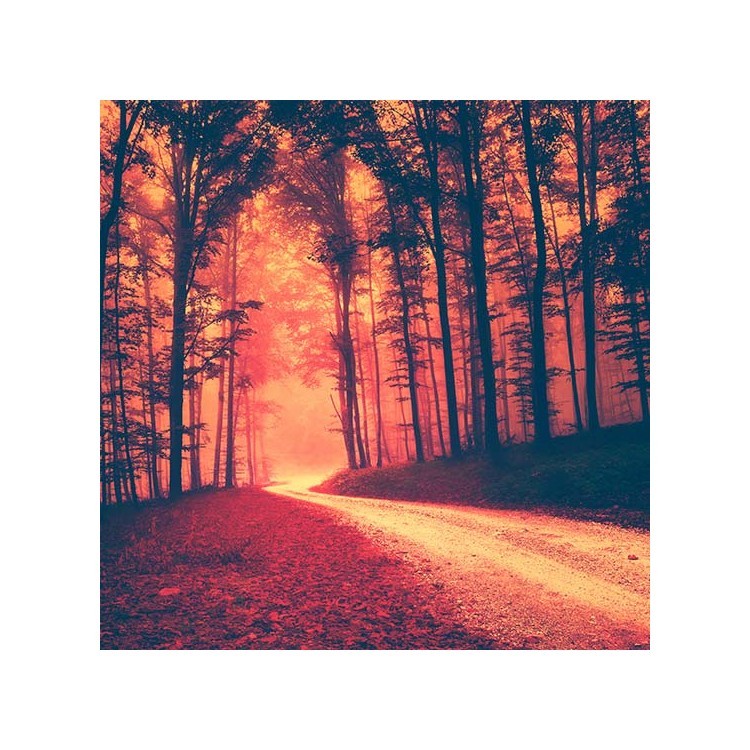  Κόκκινο δάσος, δρόμος