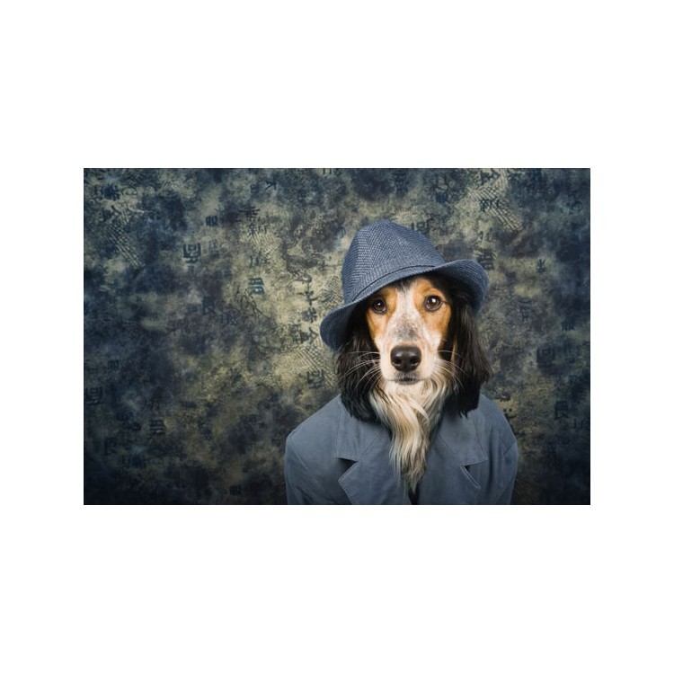  Κομψό σκυλί με καπέλο