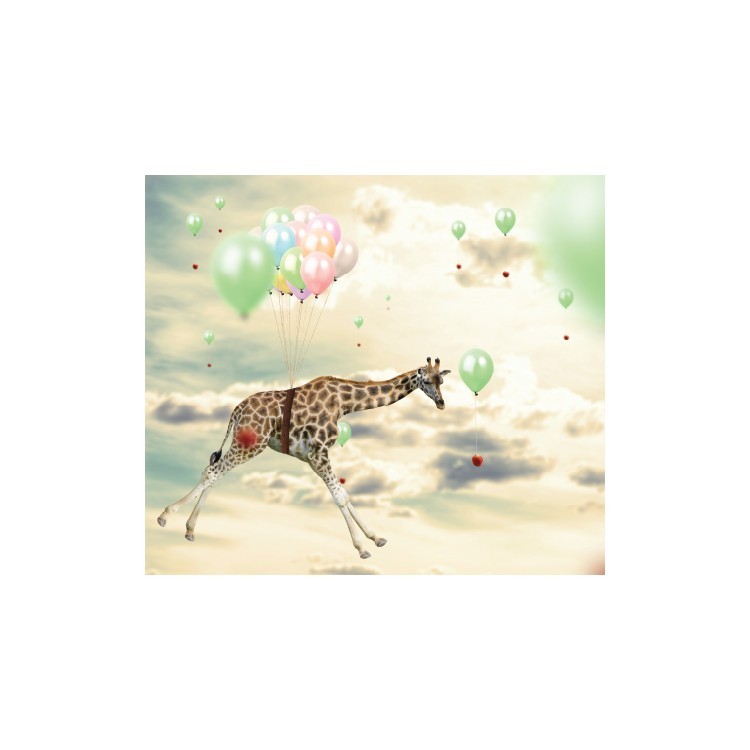  Καμηλοπάρδαλη πετάει με μπαλόνια