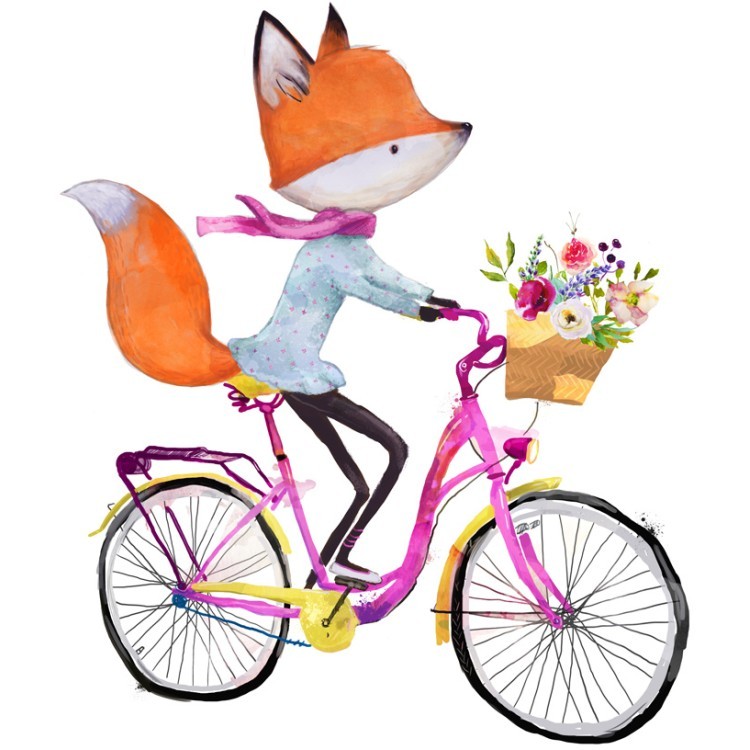  Αλεπού κάνει ποδήλατο