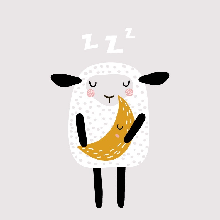  Προβατάκι κοιμάται και ονειρεύεται