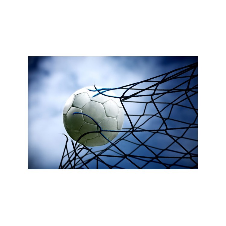  Ποδοσφαιρική μπάλα στα δίχτυα