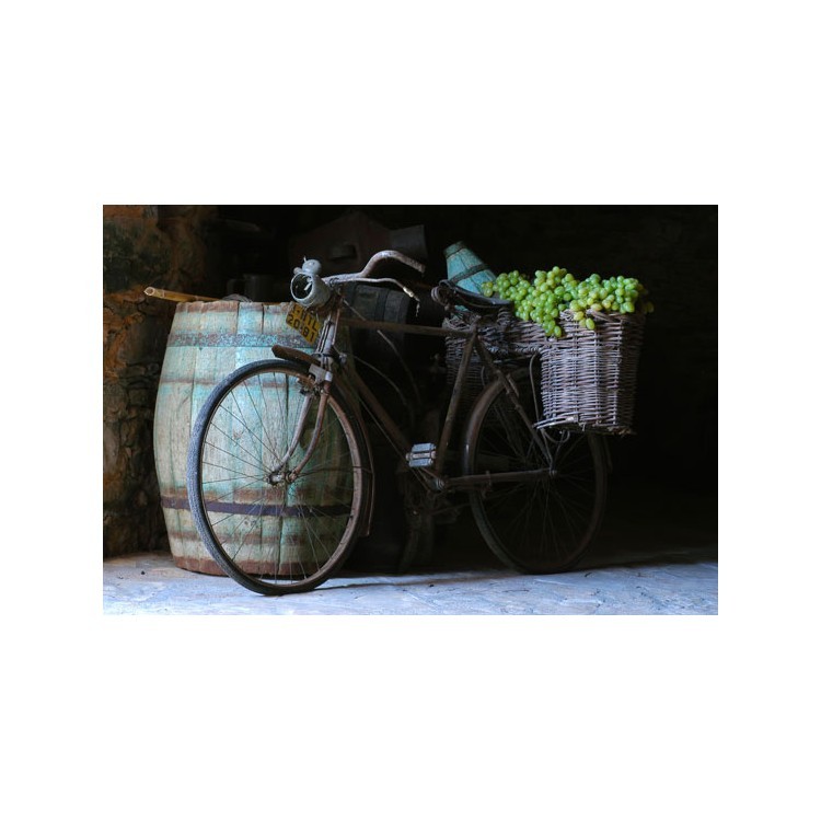  Ποδήλατο και πανέρι με σταφύλια