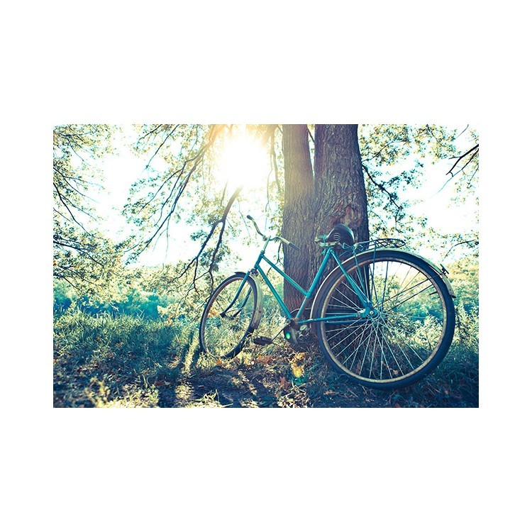  Ποδήλατο στο δάσος