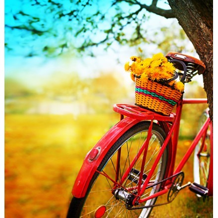 Vintage Bicycle
