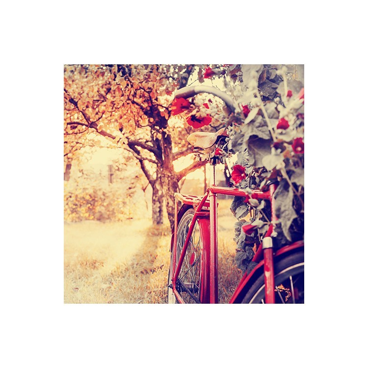  Ποδήλατο με λουλούδια