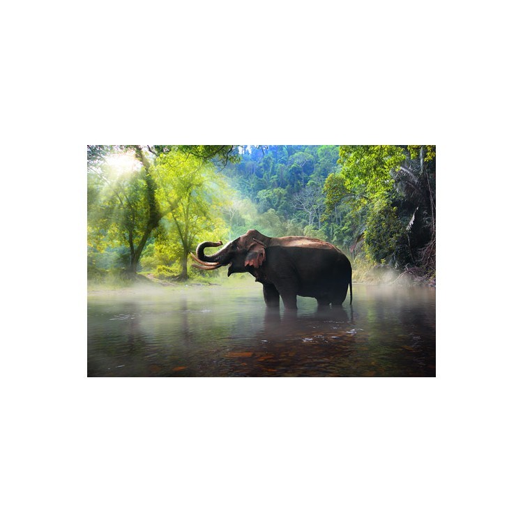  Ελέφαντας