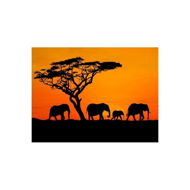  Ελέφαντες στην Αφρική