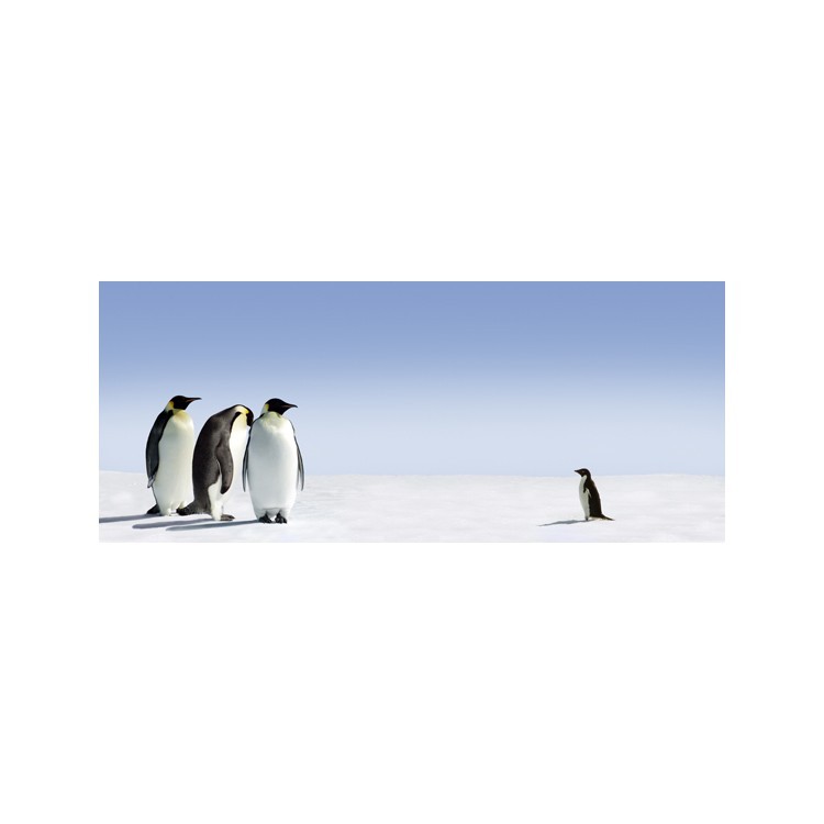  Τρεις αυτοκρατορικοί πιγκουίνοι