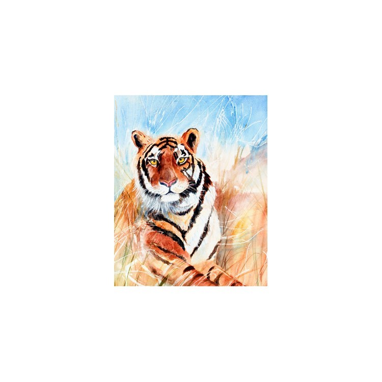  Τίγρης στο χορτάρι