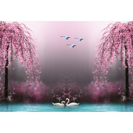 Swans in Love