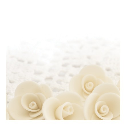 Φόντο με λευκά τριαντάφυλλα