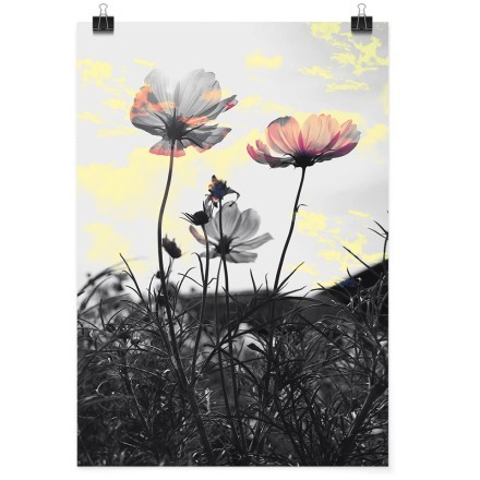 Λουλούδια σε γκρίζο φόντο Πόστερ