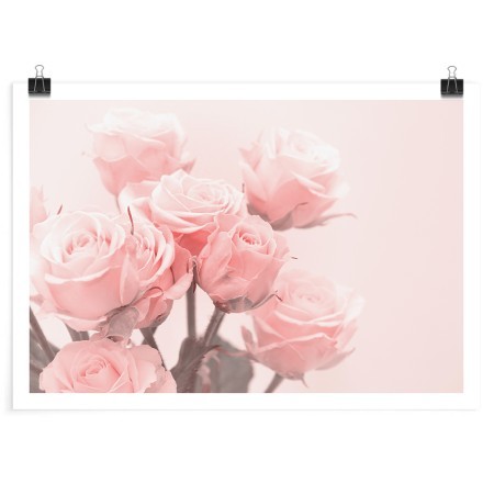 Μπουκέτο με ροζ τριαντάφυλλα Πόστερ