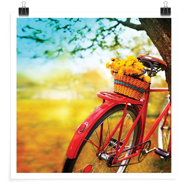 Πόστερ Καλάθι με λουλούδια στο ποδήλατο