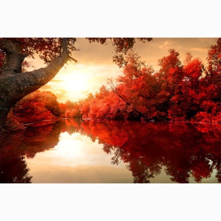 Red Sunset