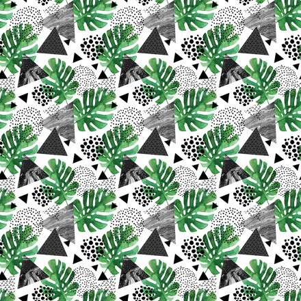 Φύλλα monstera