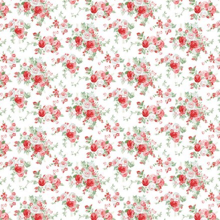 Pink Red Roses