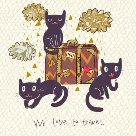 Ταξιδιάρικες γάτες