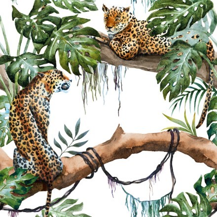 Leopards
