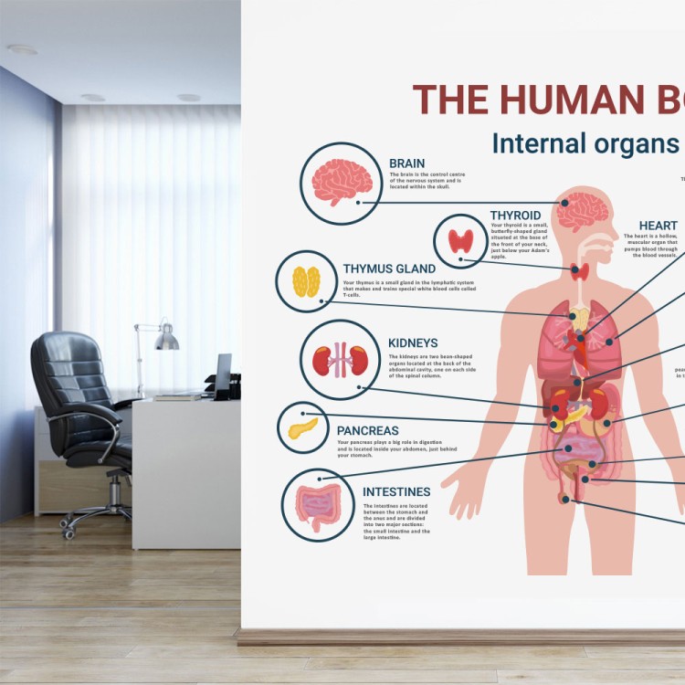 Ταπετσαρία Τοίχου Ανθρώπινο Σώμα