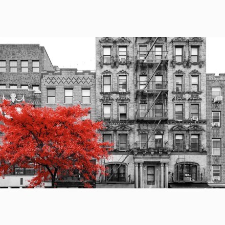 Κόκκινο δέντρο σε χωριό της Νέας Υόρκης