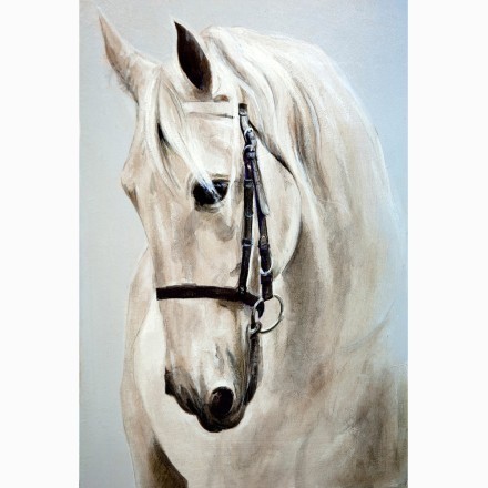 Λευκό άλογο