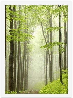 Τροπικό Δάσος, Φύση, Πίνακες σε καμβά, 20 x 30 εκ. (51592)